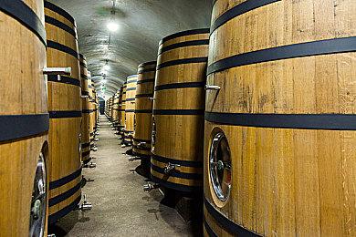 宝可梦25周年合作歌手周深 纪念曲目《可梦》1月19日凌晨上线